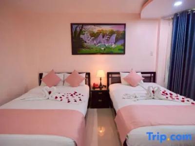 Saigon Pink 3 - 22