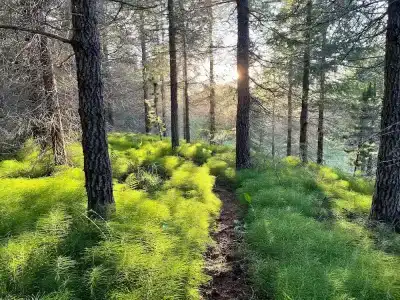 Eyjólfsstadir - 17