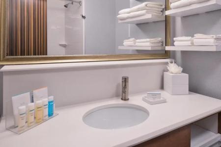 Hampton Inn & Suites Denver-Speer Boulevard - 59