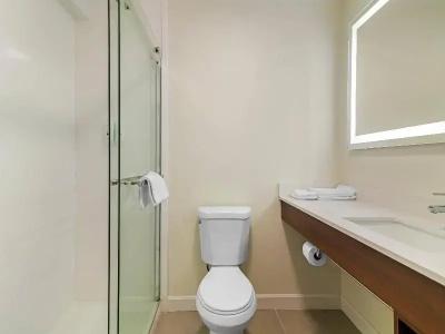Quality Inn - 43