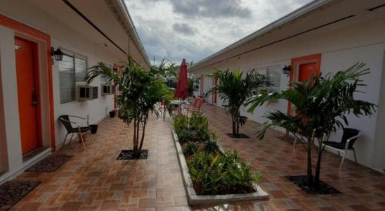 Royal Budget Inn - 34