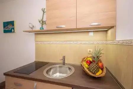 Guest House Medin - 220