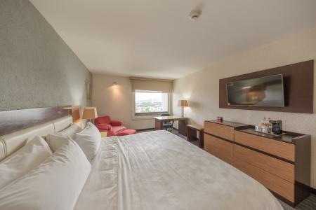 Holiday Inn Guadalajara Select, An Ihg - 39