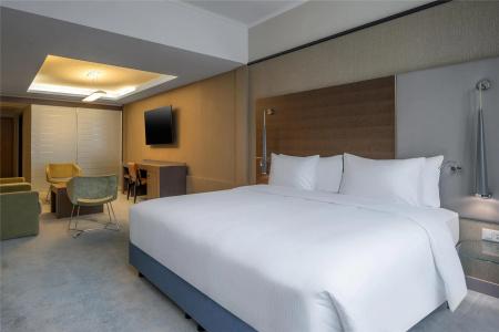 Hilton Geneva and Conference Centre - 64