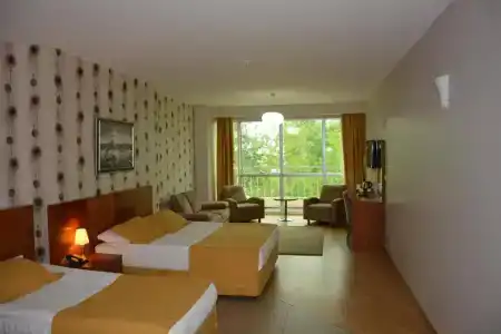 Grand Karot - 33
