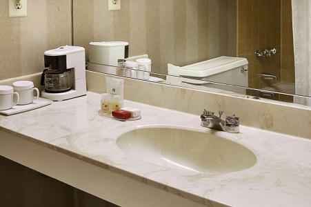 Ramada by Wyndham Downtown & Conference Center - 6