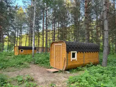 Таёжник - 2