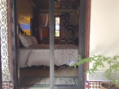 Riad Toyour- Riad of birds - 3