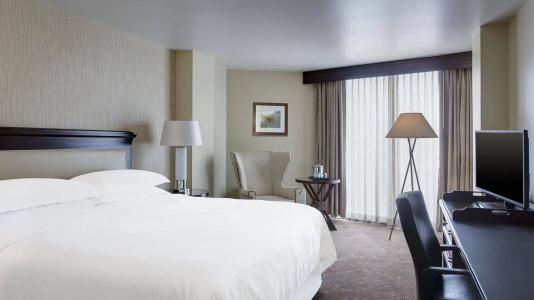 Sheraton Houston Brookhollow - 48