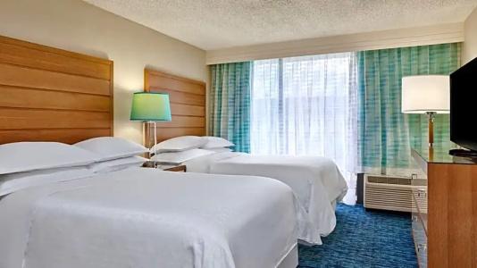 Sheraton Orlando Lake Buena Vista Resort Near Disney Springs - 51