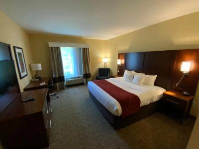 Comfort Suites North - 78