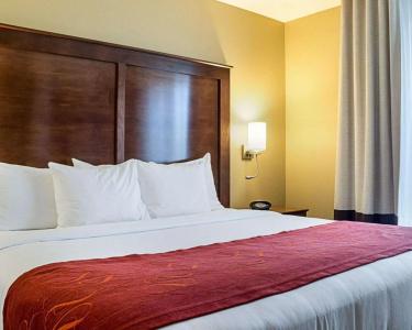 Comfort Suites Medical Center - 4