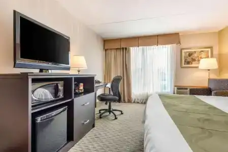 Quality Inn & Suites - 38