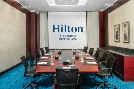 Hilton Alexandria Green Plaza - 30
