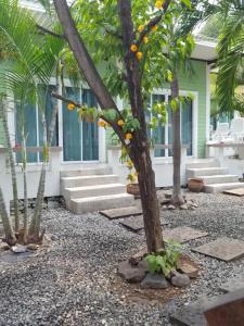 Charlie's Bungalows - 14