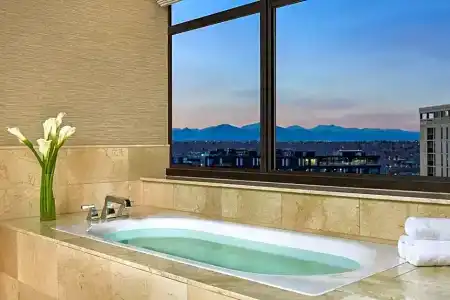 The Ritz-Carlton, Denver - 58