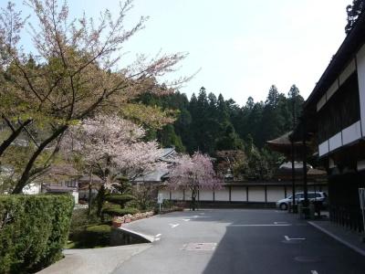 Kongo Sanmaiin - 26
