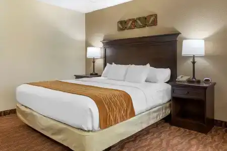 Comfort Inn at Thousand Hills - 51
