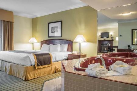 Quality Inn - 49