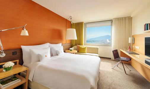 Intercontinental Geneva, An Ihg - 2