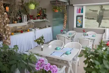 Palm Beach - 22