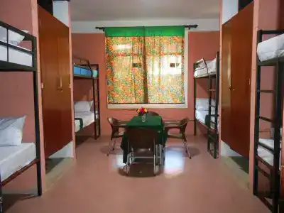 Kilimanjaro Eco - 1