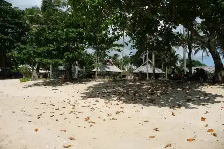 New Ozone Resort & Spa - 10
