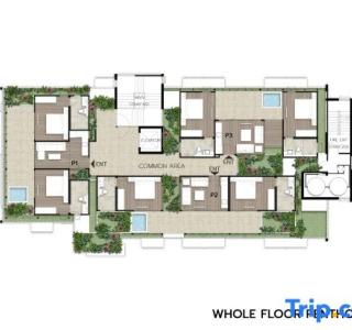 Shan Villas Sukhumvit - 274