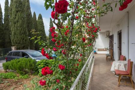 Villa Anka - 227