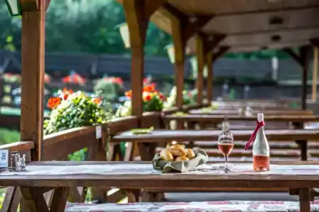 Patak Park - Adults Only - 1