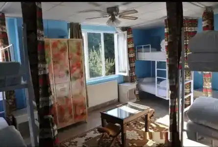 Bahaus Guesthouse Hostel - 3