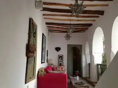 Riad Timila - 10