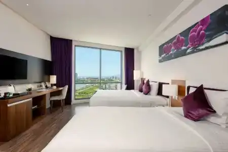 Vanda - 73