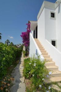 Salinas Bodrum - 37