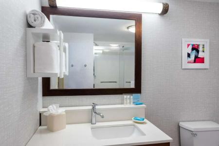 Hampton Inn & Suites Minneapolis St. Paul Airport - Mall of America - 56