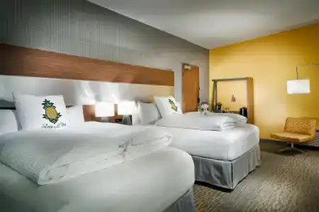 Staypineapple, Z, Gaslamp San Diego - 13
