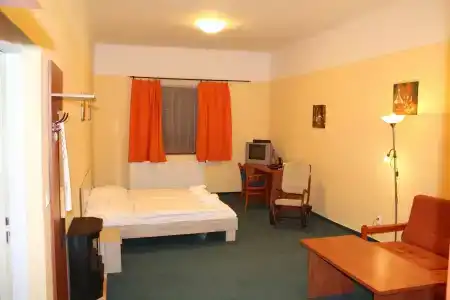 Záviš z Falkenštejna - 24