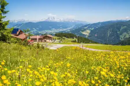 Gasthof Jandlalm - 8
