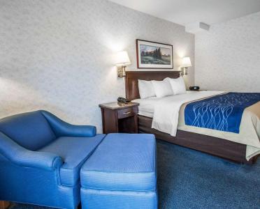 Comfort Inn - 2