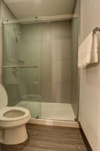 GreenTree - 35