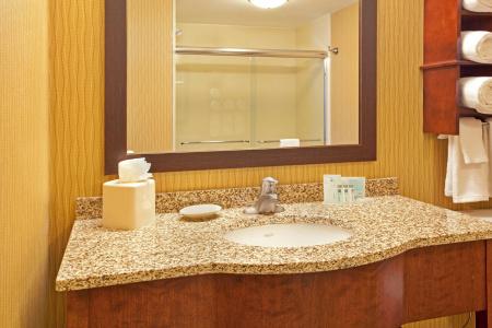 Hampton Inn & Suites Minneapolis St. Paul Airport - Mall of America - 7