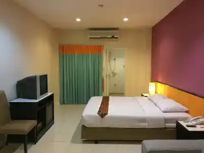 The Color Living - 2