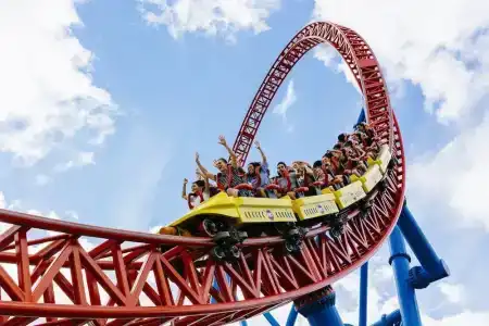 Sea World - 63