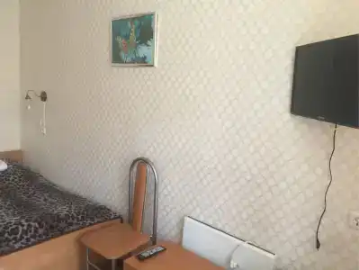 Союз - 1