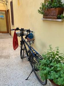 Umbria - 19