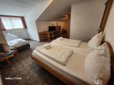 AlpenWidderstein - 23