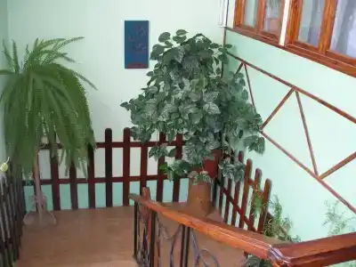 Санако - 8