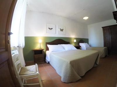 Agriturismo Boschi di Montecalvi - 114