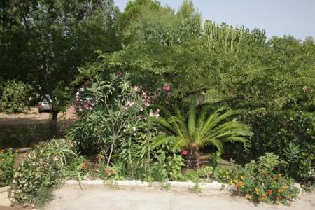 L' Arcobaleno Resort - 34