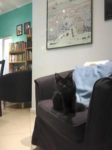 120 Rodionoff Palermo B&B - 71